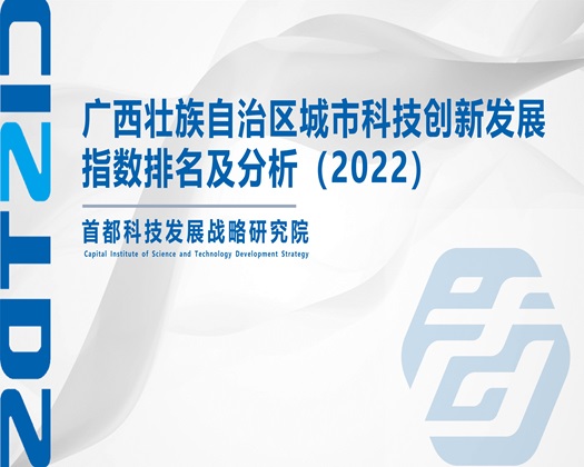 尻屄视频免费在线观看【成果发布】广西壮族自治区城市科技创新发展指数排名及分析（2022）